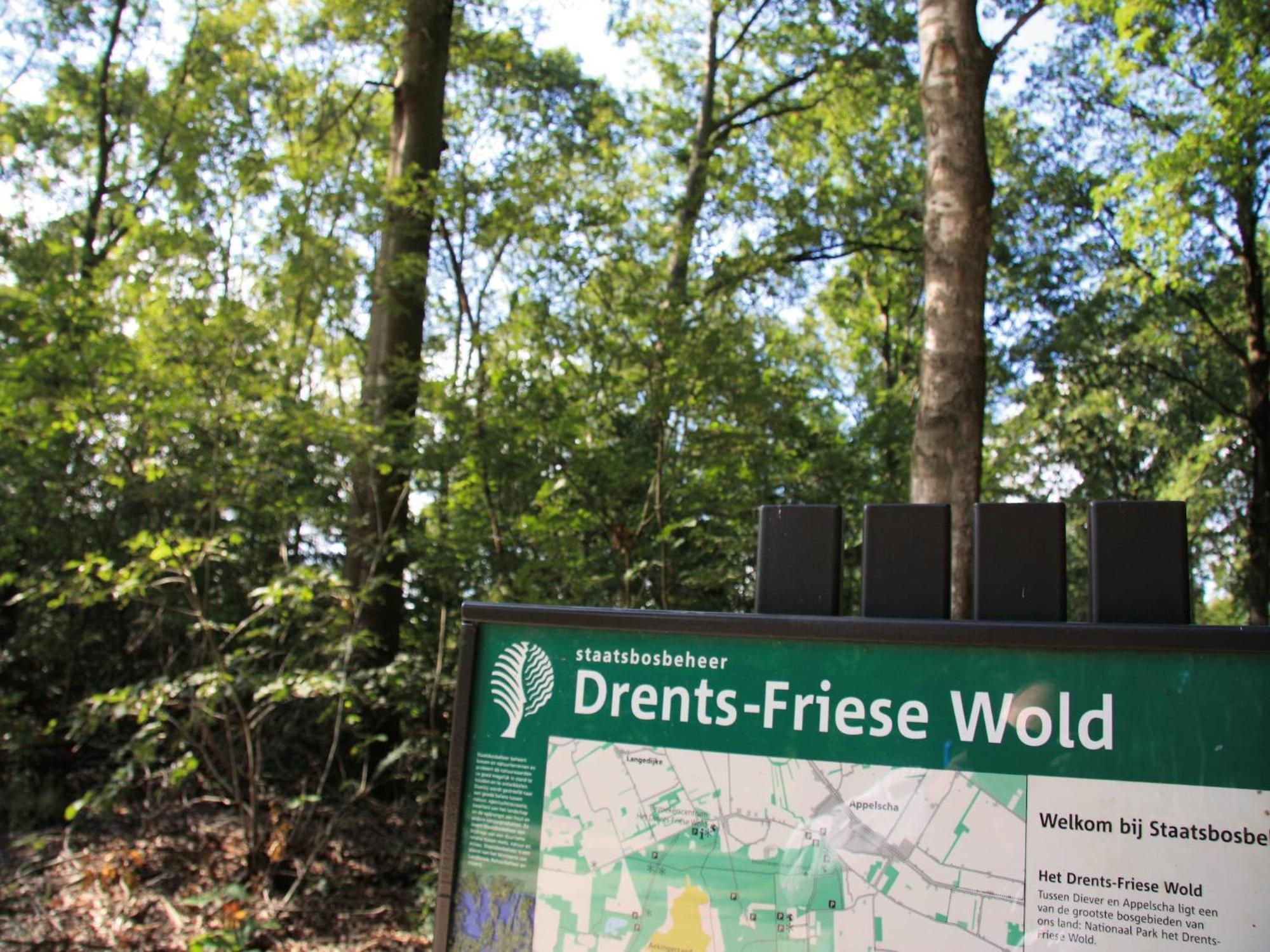 Restyled House With Fire Place Near The Drents-Friese Wold Hoogersmilde Esterno foto